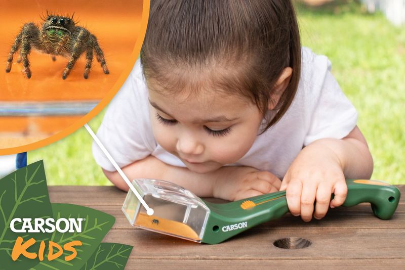 BugView™️ - Insektenfänger