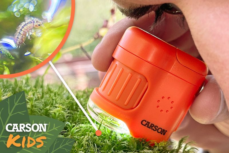 MicroMini™️ - Taschenmikroskop, 1 Stück