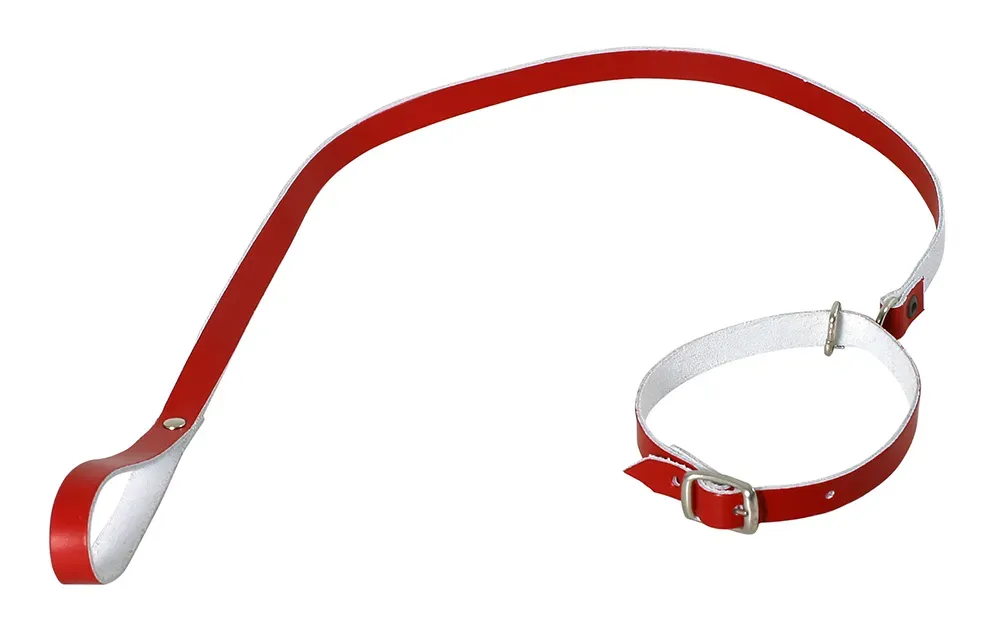 Hundeleine mit Halsband - rot Hundeleine mit Halsband - rot