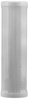 BII - 50 MICRON PLEATED CARTRIDGE (10" x 2.75)