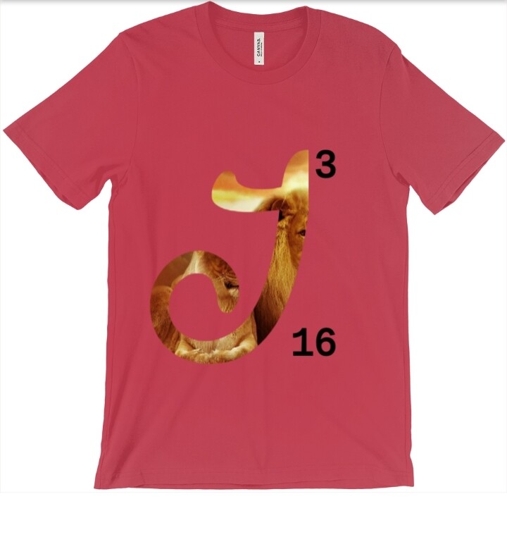 E-commerce Product Image