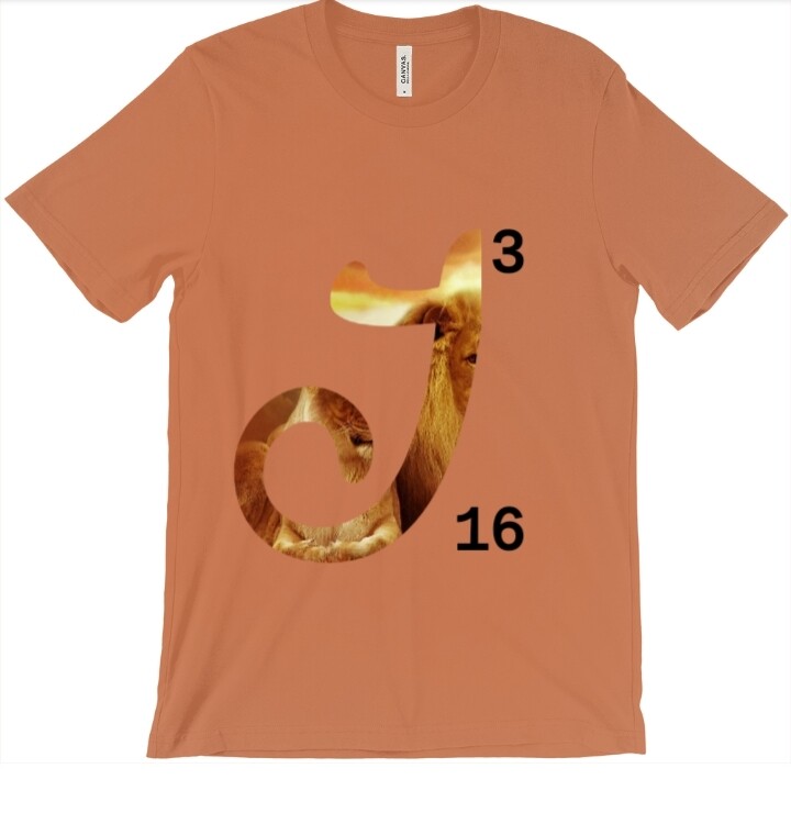 E-commerce Product Image