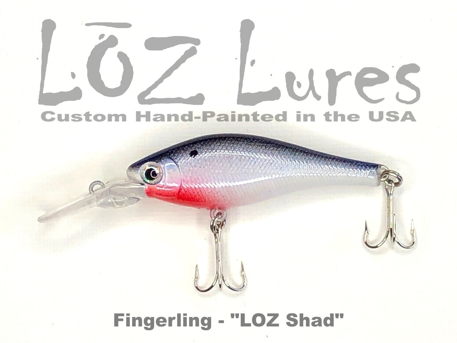 Fingerling &quot;LOZ Shad&quot;