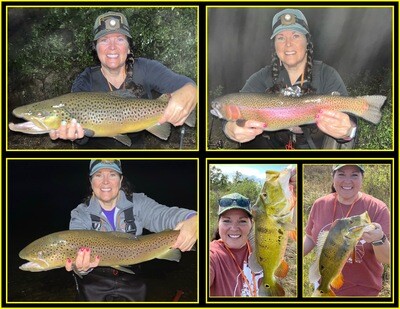 Lisa&#39;s Top 5 Lures