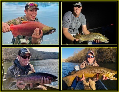 Clayton&#39;s Top 5 Lures
