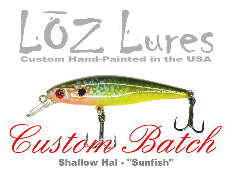 Shallow-Hal  &quot;Sunfish&quot;