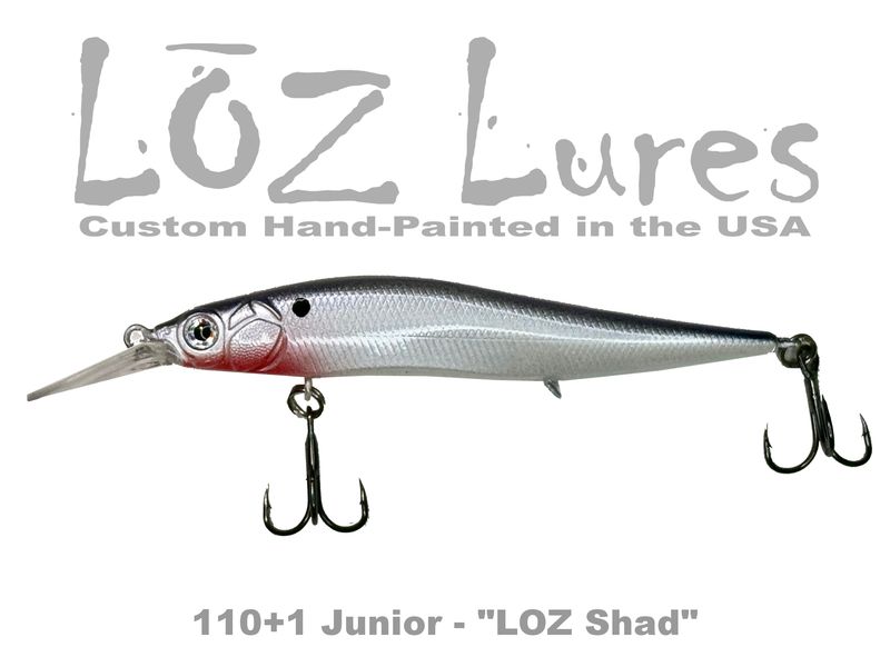 110+1 Junior &quot;LOZ Shad&quot;