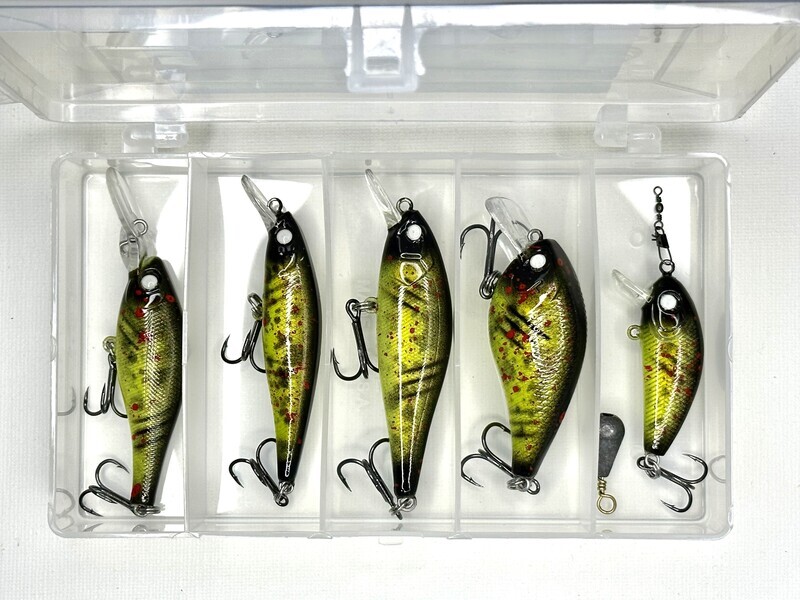 "ZOMBIE" Assortment