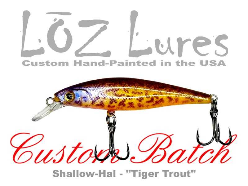 Shallow-Hal "Tiger Trout"