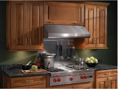 Broan Elite E6430SS Undercabinet Range Hood