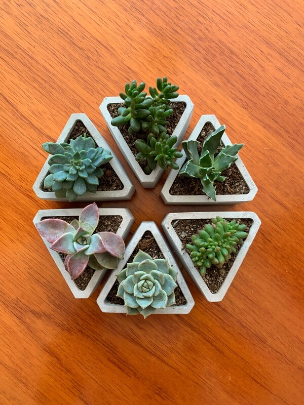 Rueda Hexagonal