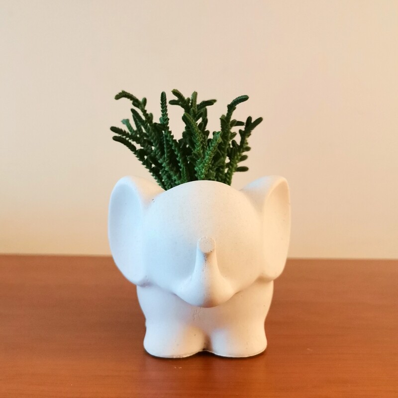 Elefante