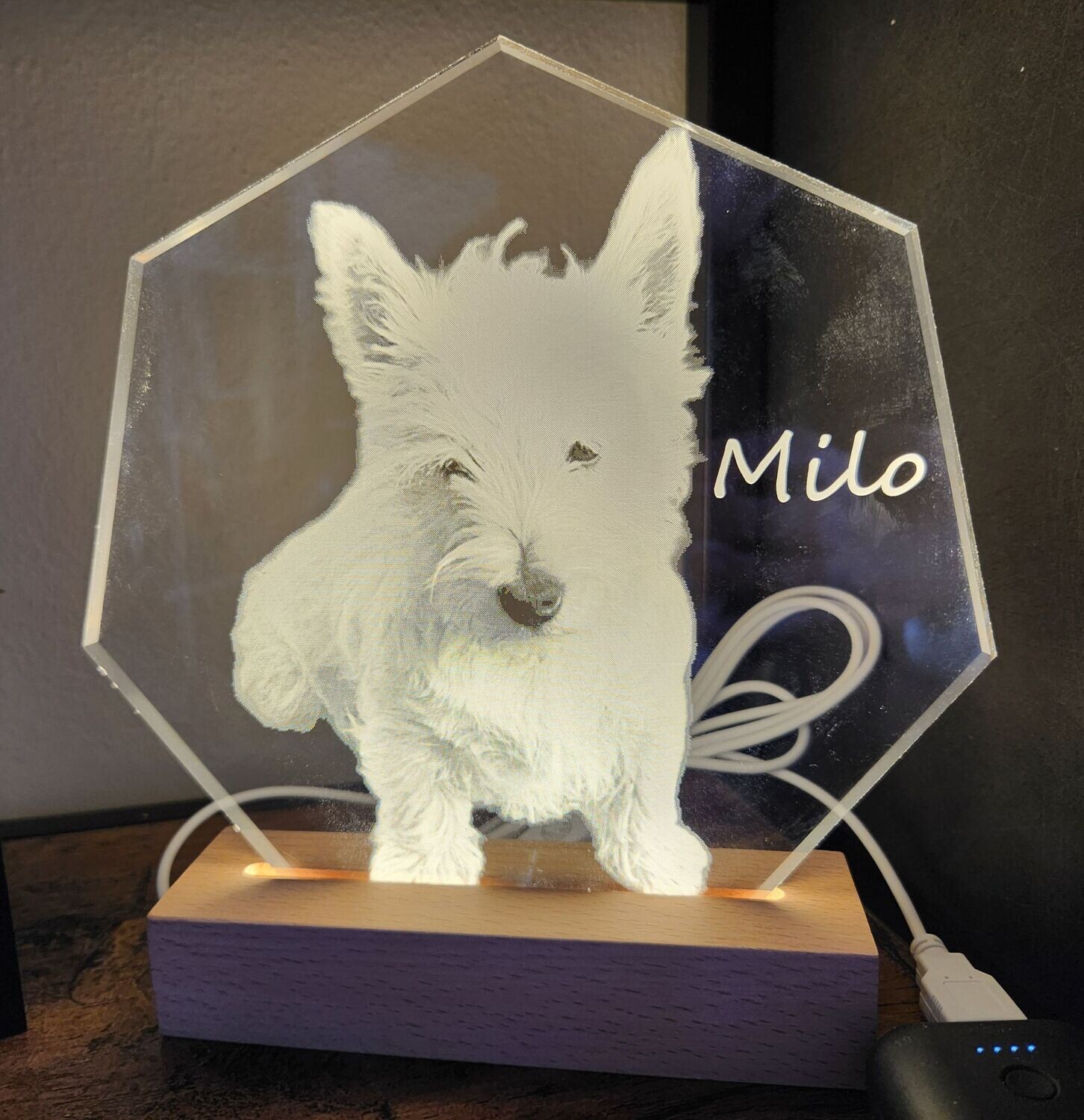 Personalisierte Lampe nach Fotovorlage 17cm