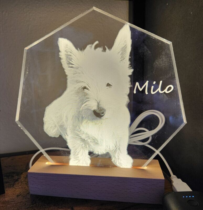 Personalisierte Lampe nach Fotovorlage 17cm