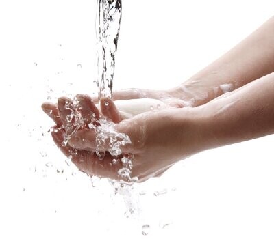 Hand-und Duschseife