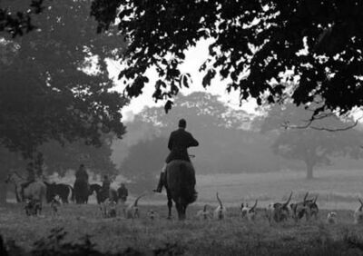 Autumn Hunting Notecards