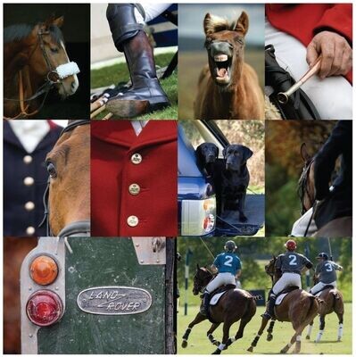 Equestrian Notecards (Variety Pack)