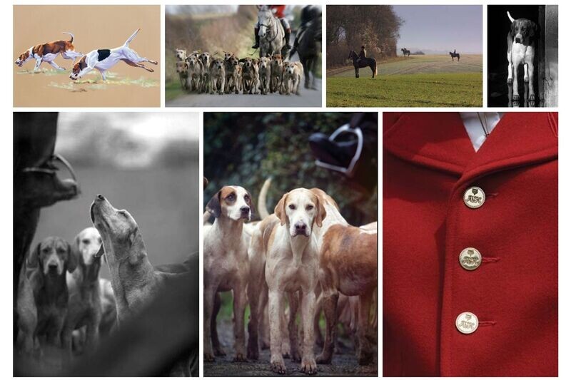 Hunting Greetings Cards