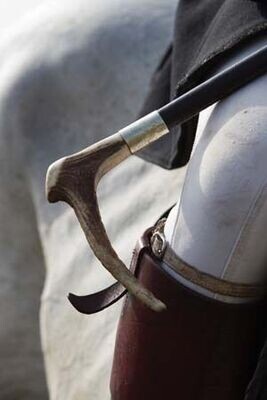 Hunting Whip Greetings Cards