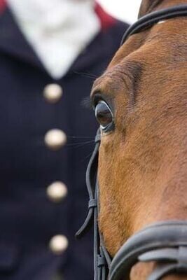 South West & Wilts Greetings Cards South West & Wilts Greetings Cards