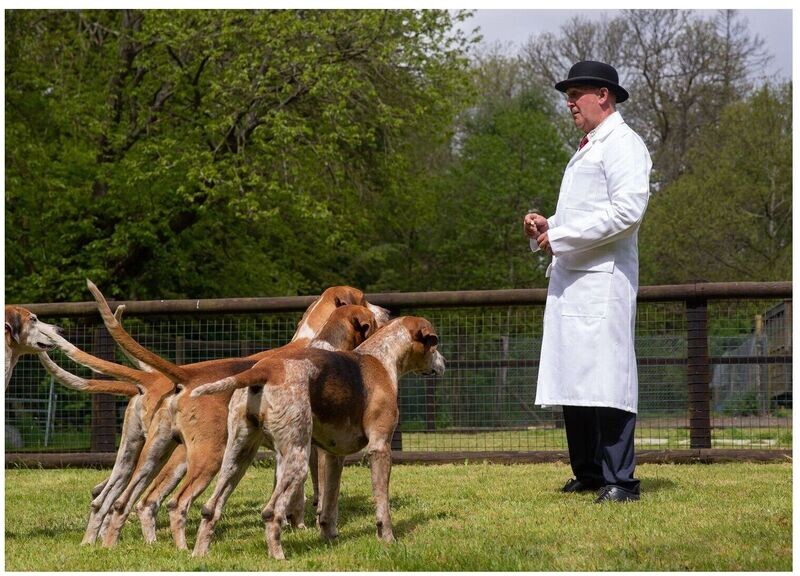 *The 'Flavell' Kennel Coat.