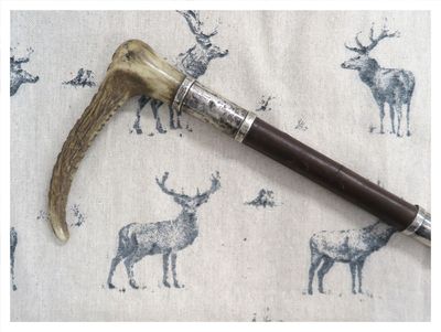 Ladies Champion & Wilton Hunting Whip