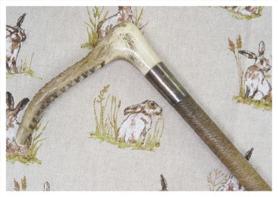 Teens Antique Hunting Whip c. 1923