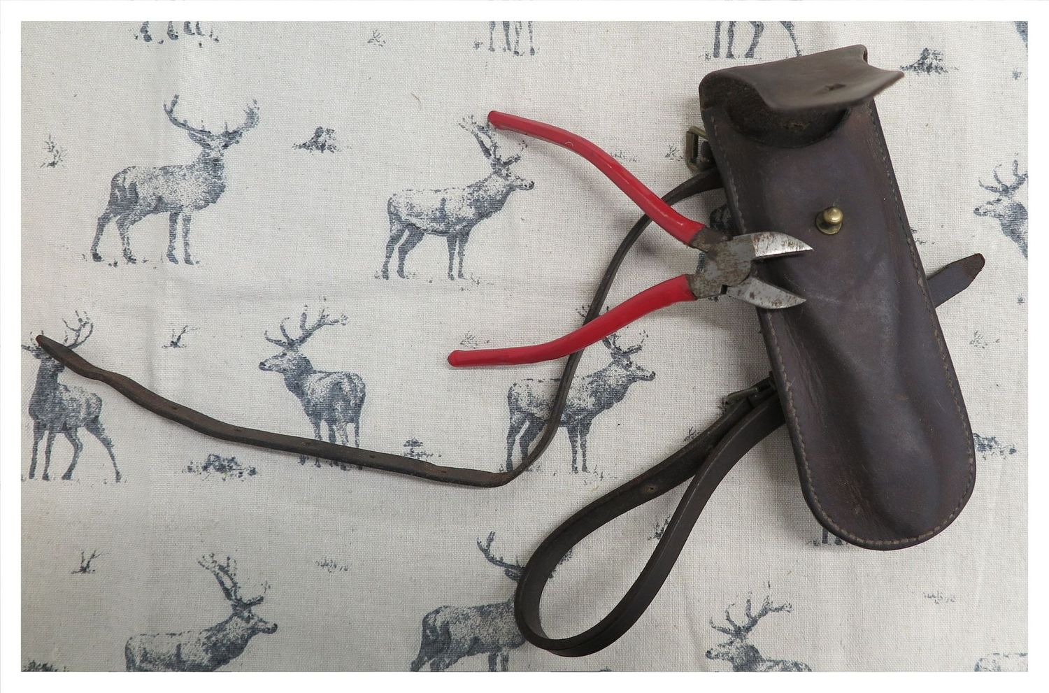 Wire Cutters In Leather Case