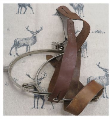 Vintage Spurs