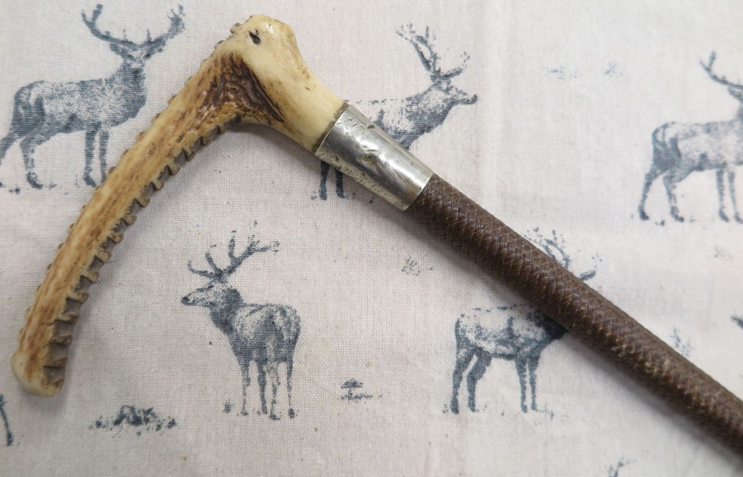 Gents Callow,  Hunting Whip