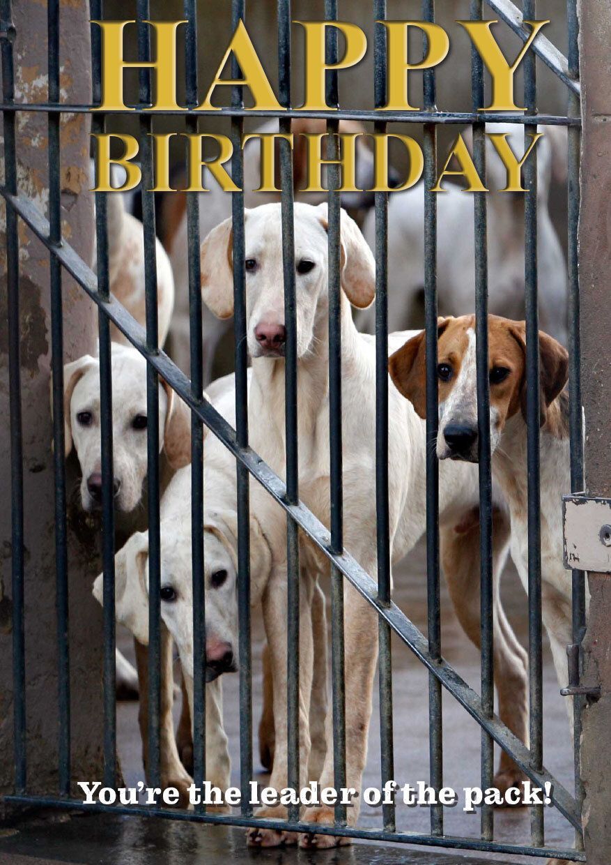 'Happy Birthday'  Greetings Card