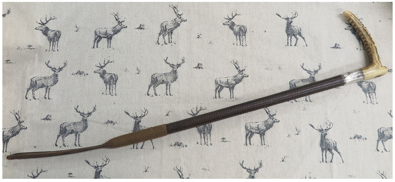 Ladies Vintage, Leather Hunting Whip