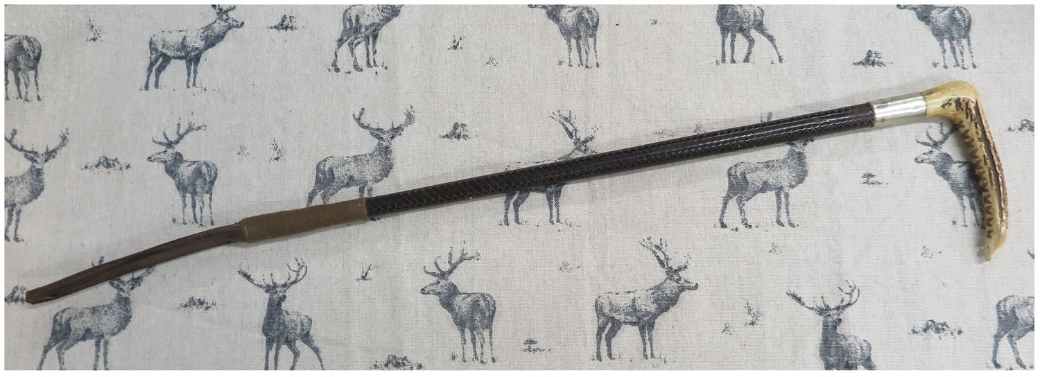 Childs/Teens, Leather Hunting Whip