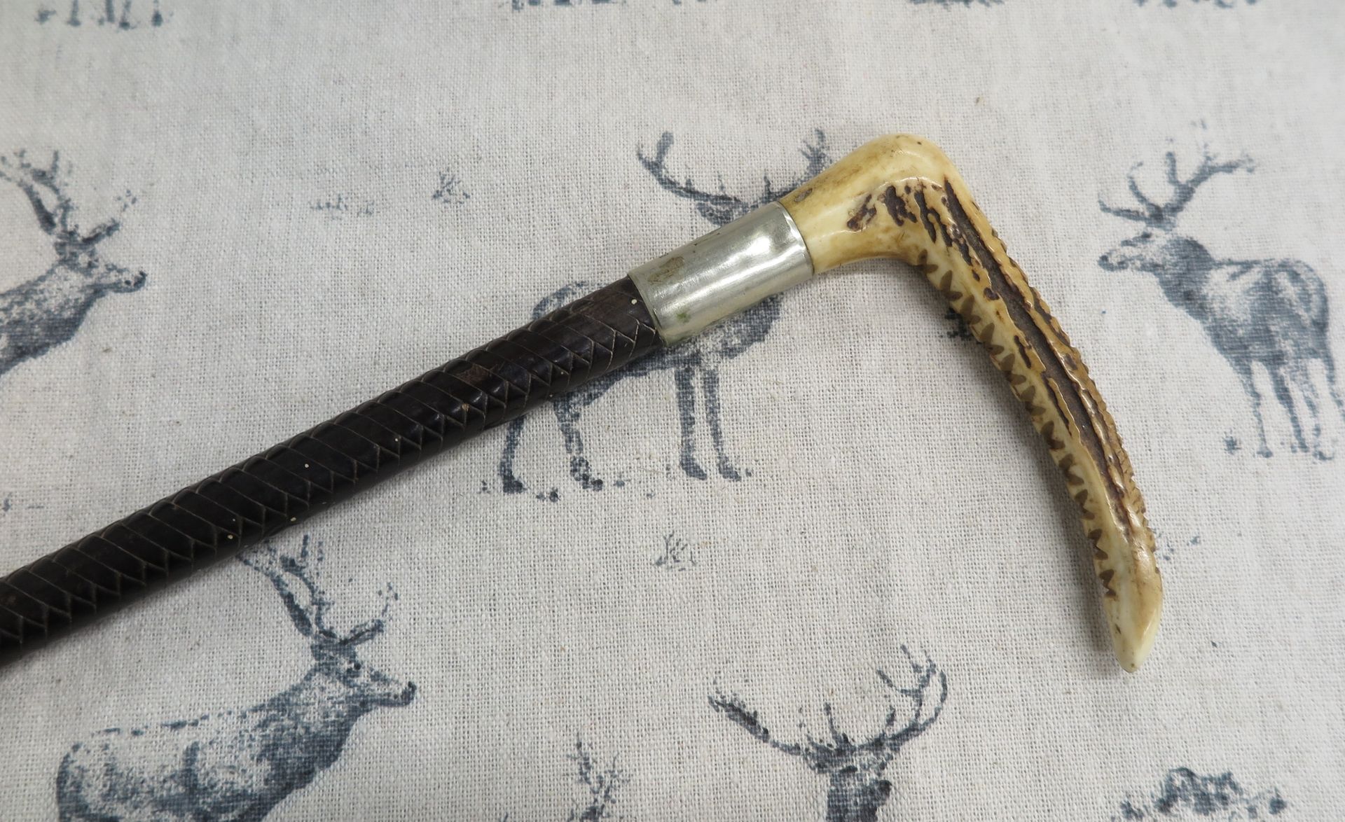 Childs/Teens, Leather Hunting Whip