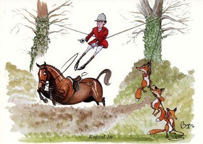 Bryn Parry 'Roped In' Greetings Cards