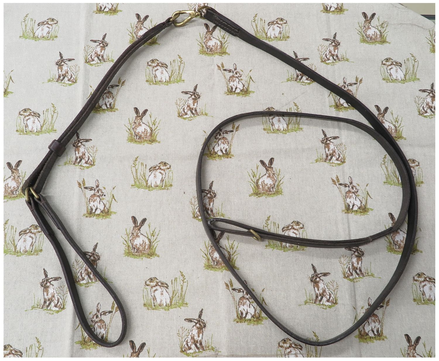 Leather Show Slip and Lead