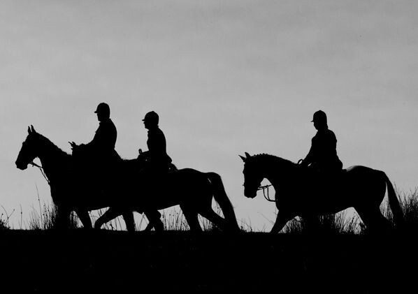 The Field Greetings Cards