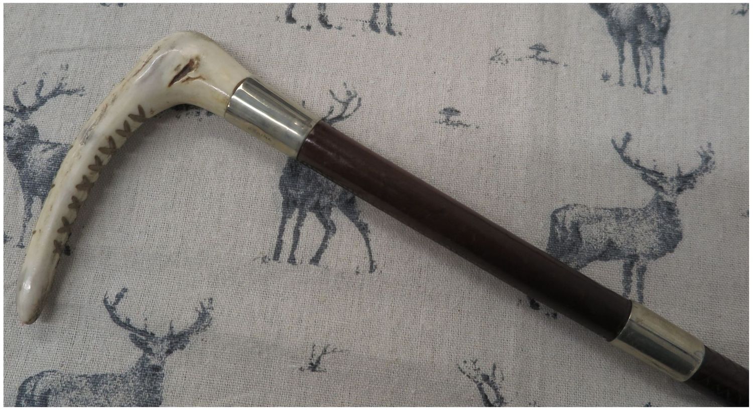 Ladies Swaine, Leather Hunting Whip