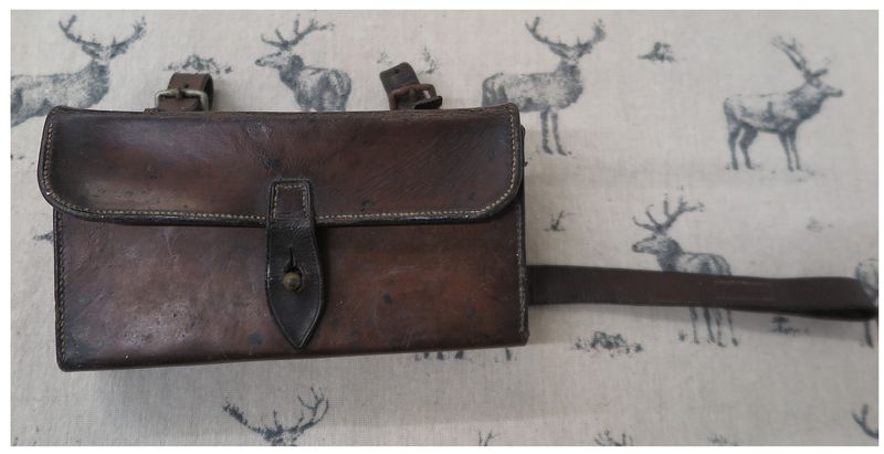 Sandwich Case/ Saddle Bag