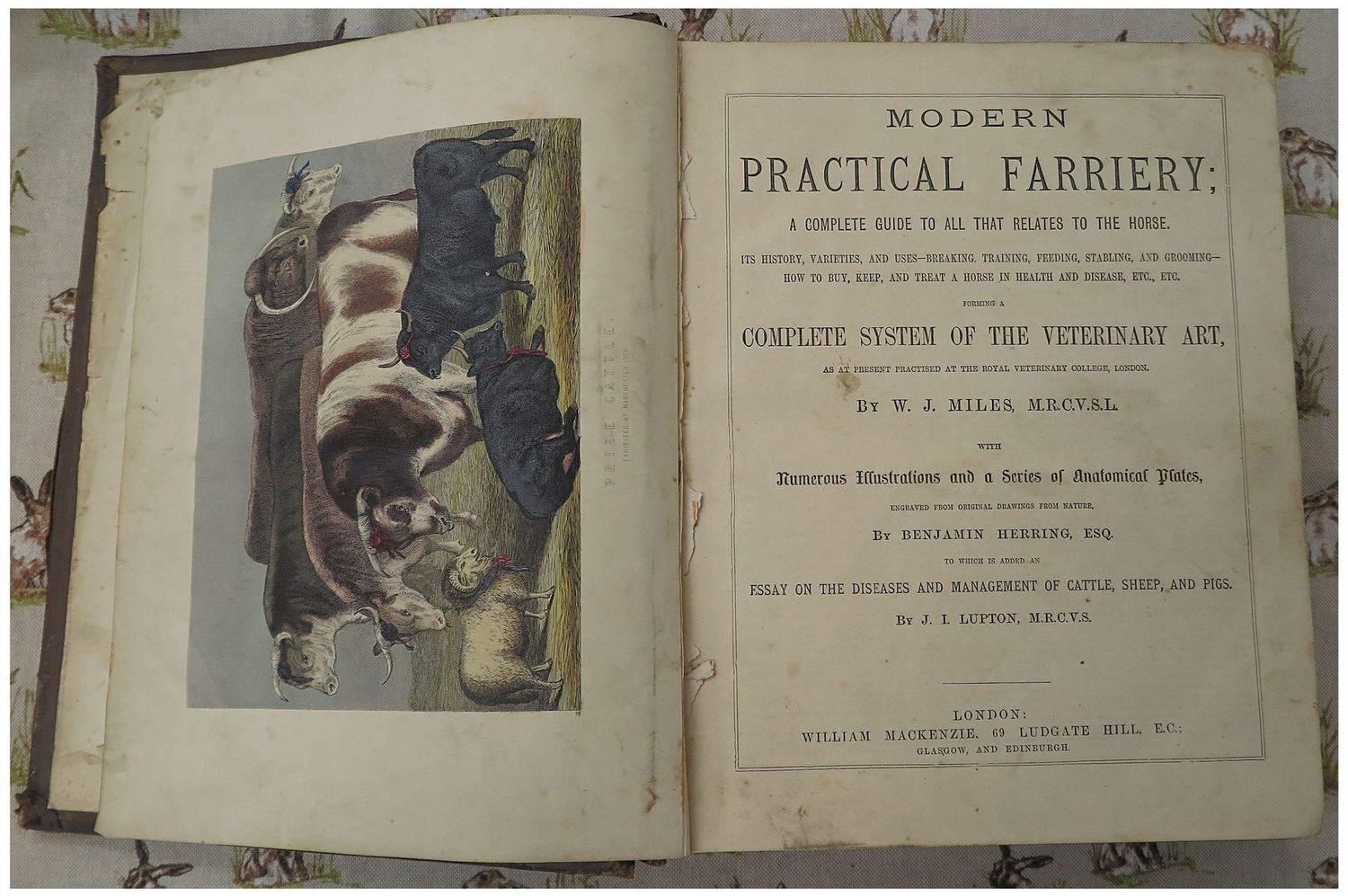 Modern Practical Farriery (1870)
