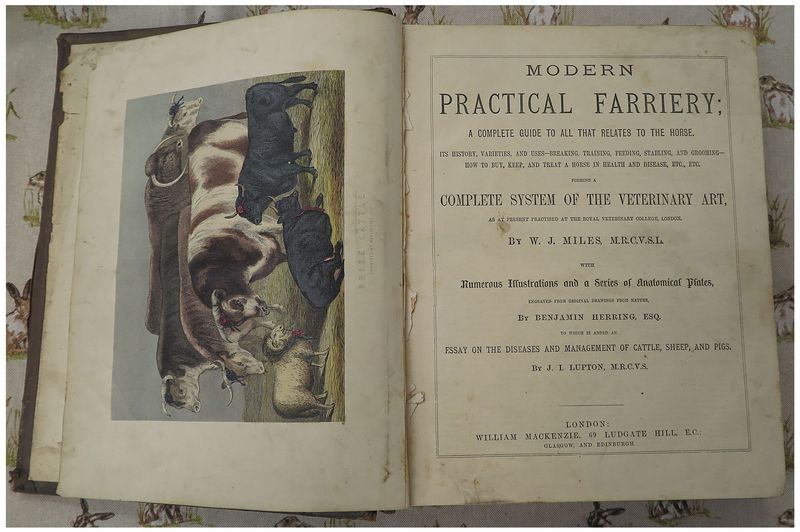 Modern Practical Farriery (1870) Modern Practical Farriery (1870)