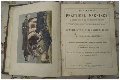 Modern Practical Farriery (1870)
