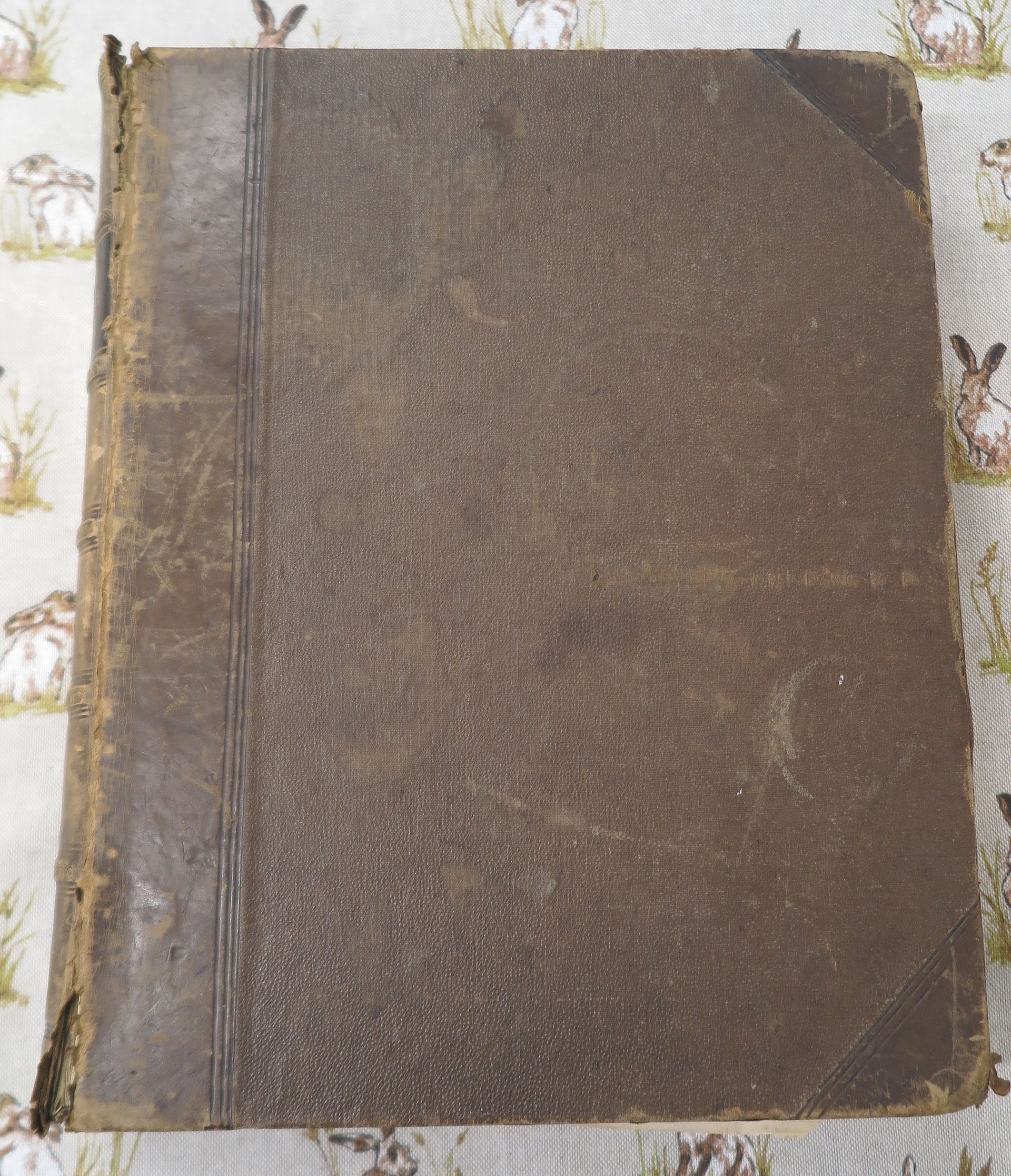 Modern Practical Farriery (1870)