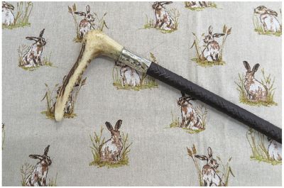 Ladies/Teens, Leather Hunting Whip