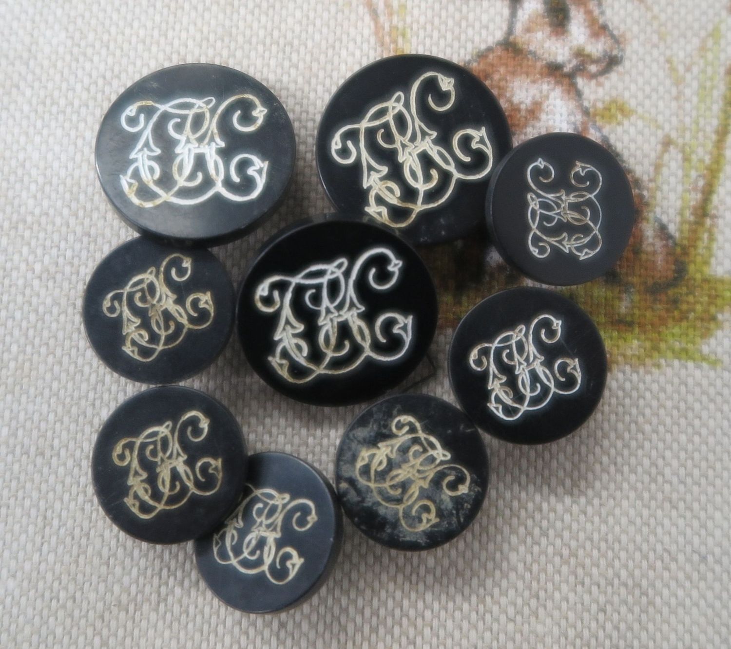 Cottesmore Hunt Buttons (9)