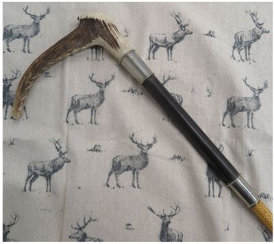 Gents David Thorne Hunting Whip