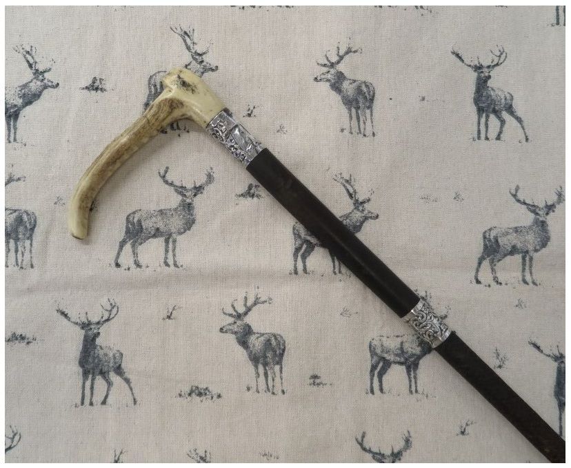 Gents Antique George V, Hunting Whip c.1910