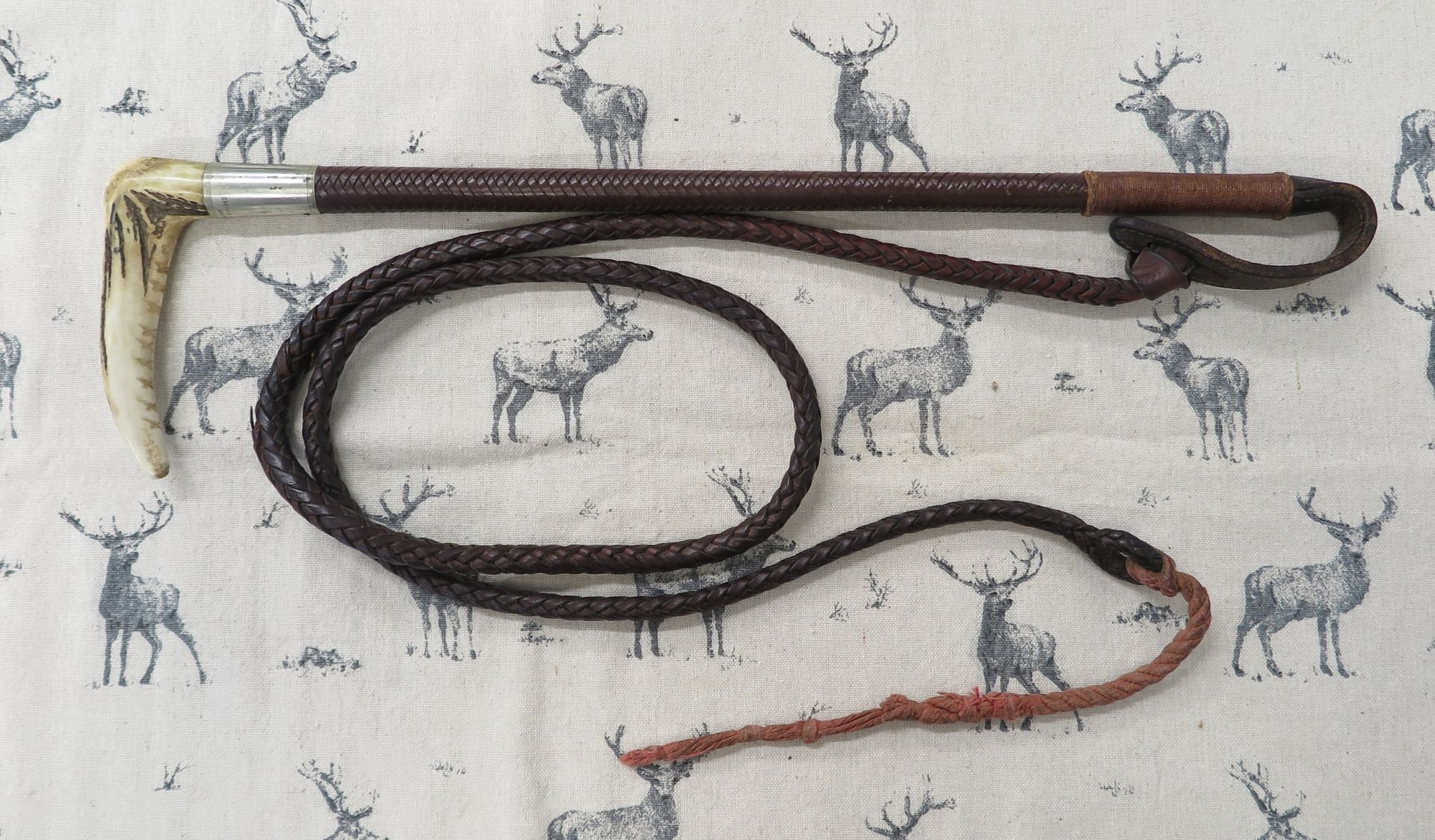 Ladies Swaine, Hunting Whip