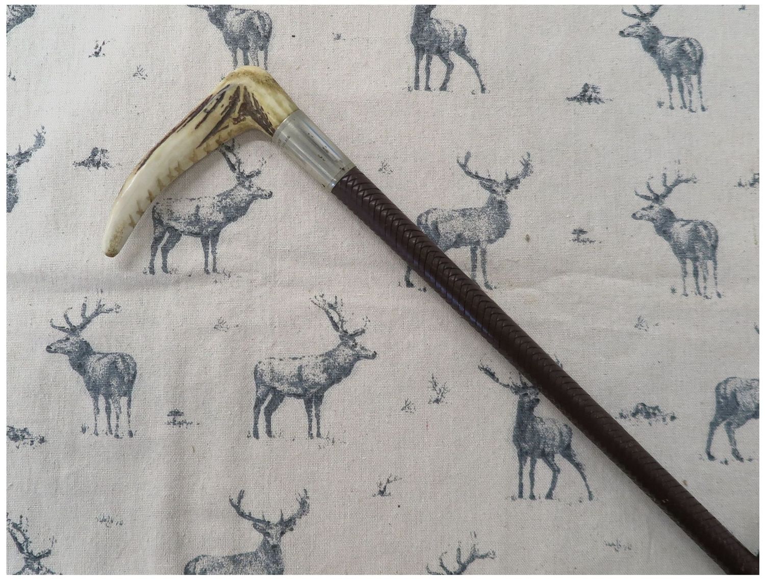 Ladies Swaine, Hunting Whip