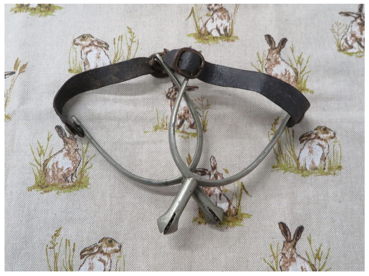 Used Traditional Spurs